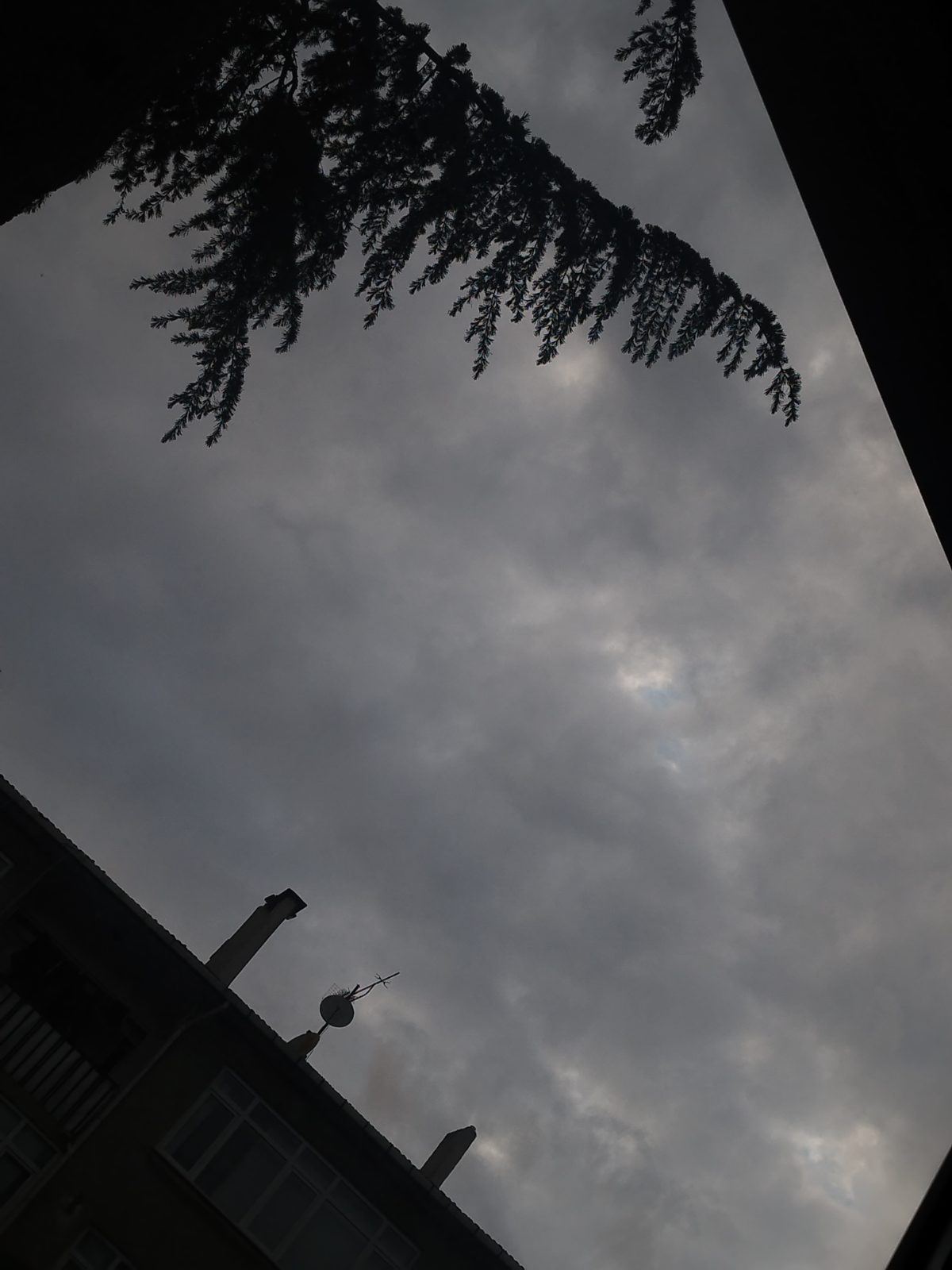 Gönderi fotoğrafı