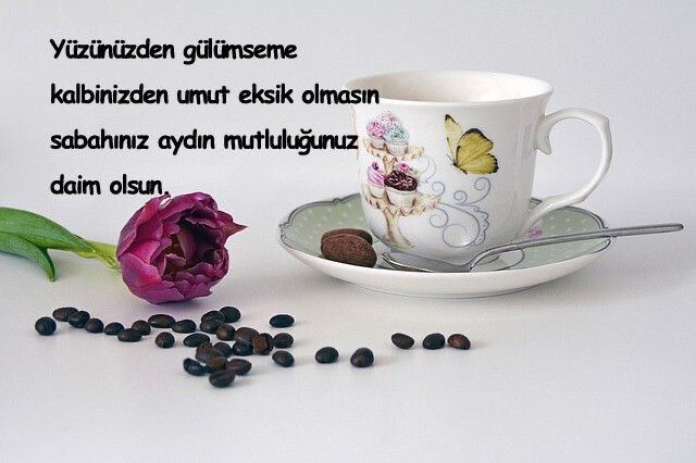 Gönderi fotoğrafı